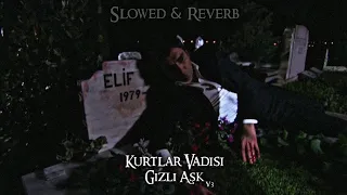 Kurtlar Vadisi - Gizli Aşk V3 (Slowed-Reverb)