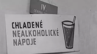 Socialistické malinovky a ich nedostatok (1966)