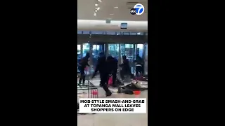 Mob of thieves hits Topanga Nordstrom in brazen smash-and-grab