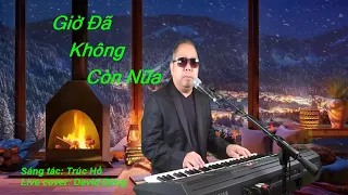 GIỜ ĐÃ KHÔNG CÒN NỮA | S/T: TRÚC HỒ | DAVID DŨNG (LIVE COVER)