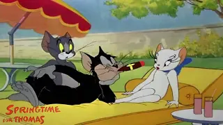 Springtime for Thomas 1946 Tom and Jerry Cartoon Short Film