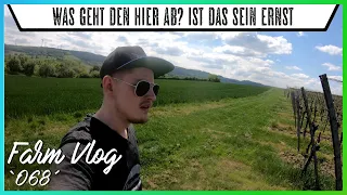 FarmVlog `068´ 🍇 - Sachbeschädigung im Weinberg, jetzt bin ich Sauer - [Eschenauer] - [HD/2K]