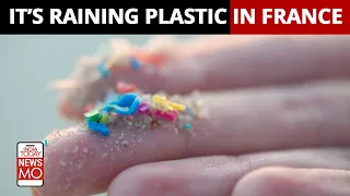 First 'Plastic Rain' Weather Forecast Predicts 50 KG Of Microplastics Downpour In France