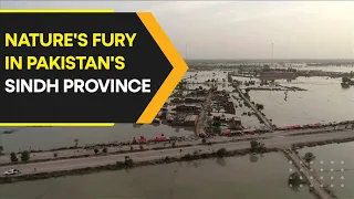 Drone captures the extent of damage caused by floods in Pakistan's Sindh province | WION Originals