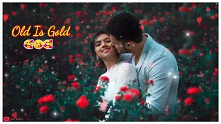 Pa Liya Hai Pyar Tera Status🌹 90s Love Song Status ❤ Best Status Video🌹Old Is Gold Status #4k #90s