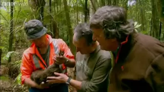 Last Chance To See - The Kiwi - BBC Two