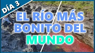 Como llegar a CAÑO CRISTALES el rio mas HERMOSO del mundo | Qué hacer en La Macarena Meta  Colombia