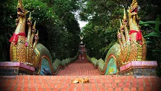 Doi Suthep Incredible Wat Phra That  Temple -  Chiang Mai  Thailand