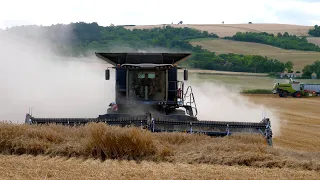 Fendt Ideal et coupe MacDon en démonstration avec DLV PRO !