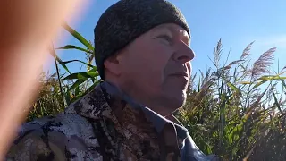 Охота на утку (видео отчёт)