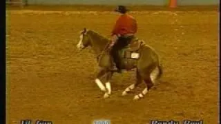 Reining Colonels Lil Gun 2000 NRHA Futurity Finalist