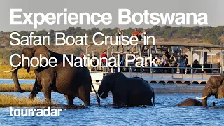 Experience Botswana Safari Boat Cruise in Chobe National Park