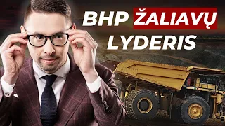 Investavimo idėja: BHP