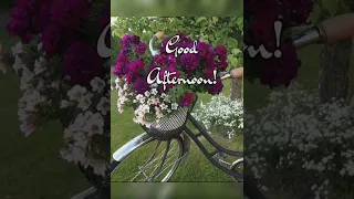 good afternoon video# short# video//WhatsApp status//