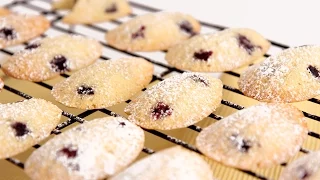 Lemon Blueberry Madeleine Recipe - Laura Vitale - Laura in the Kitchen Episode 797