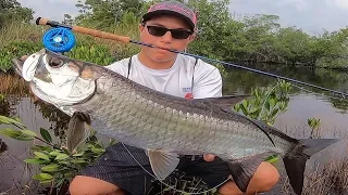 JUVENILE TARPON ON THE FLY!! AMAZING BACKCOUNTRY ACTION