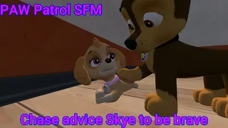 SFM PAW Patrol | Chase advice Skye to be brave