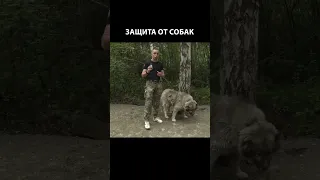 Средства самообороны от собак #shorts #самооборона #баллончик