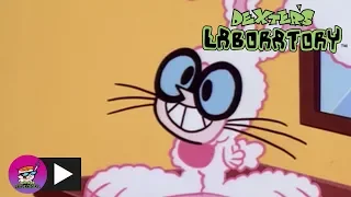 Dexter's Laboratory | Catch of the Day | Cartoon Network