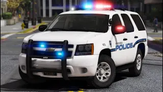 LSPDFR guy gets out of car and tries to fist fight cops! (Make Visuals Great Again)