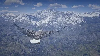 [4K] Playing as an Eagle & Hawk in Red Dead Redemption 2 (Animal Series Part 1)