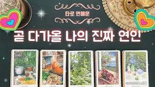 [타로/연애운]🌹나의 진짜 연인이 될 사람의 성격,외모,연애장면😍 (ft.만남시기)