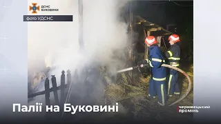 За добу на Буковині трапилось 3 пожежі через умисний підпал