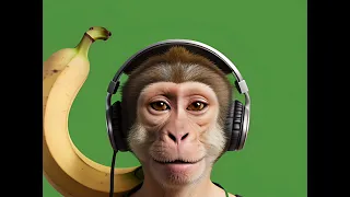 Bananas & Bass Part II