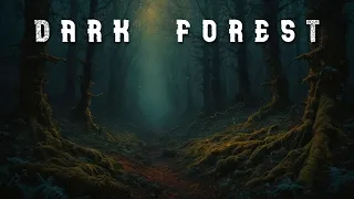 DARK FOREST (ethereal soundscapes...