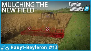 Haut-Beyleron #13 FS22 Timelapse Buying A New Field, Mulching, Disc Harrowing & Rolling It