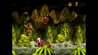 [TAS] [Obsoleted] SNES Donkey Kong Country by Arne_the_great in 24:23.88