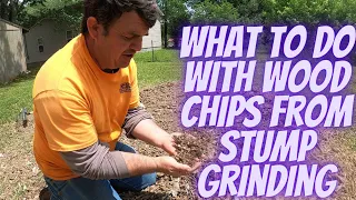 What to do with Wood Chips from Stump Grinding