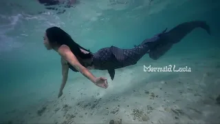 Mermaid Tail in Action: Epic Underwater Stunts  #UnderwaterStunts #ActionMermaid #StuntShow