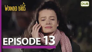 Wounded Birds Episode 13 - Urdu Dubbed | Turkish Drama