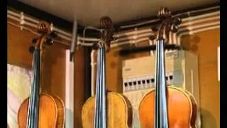 Музыка 1. Первые музыкальные инструменты. Звучание скрипки — Академия занимательных наук