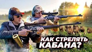 Как целиться и попадать в кабана. Охота на кабана. Секреты и приёмы точной стрельбы на охоте.