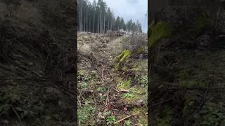 Die Schlacht im Hürtgenwald - Am Grab von Robert Carhow #history #bunker #huertgenwald #military