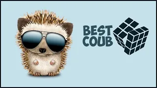 «ОПАСНЫЙ ЁЖ» Лучшие приколы за неделю / Best Coub - Апрель 2021