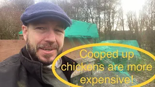 Free ranging animals cost less to feed