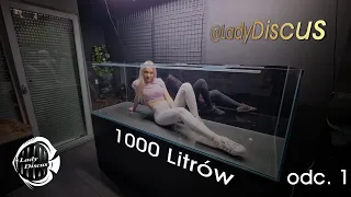 Lady Discus - 1000L Zakładanie akwarium dla Dyskowców odc.1 - Sprzęt i Hardscape