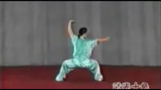 Wu Bu Quan 五步拳