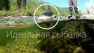 Рекордный хариус сезона/Рыбалка на горной реке в прозрачную воду - Идеальная рыбалка #2