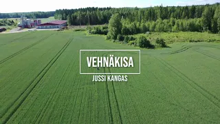 Jussi Kankaan Alli-vehnä