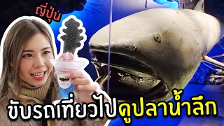 ขับรถเที่ยวที่ญี่ปุ่นไปดูปลาน้ำลึกสุดแปลก Numazu Deep Sea Aquarium และกินของหวานจากปลาใต้ทะเลลึก