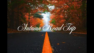 Autumn Road Trip Playlist 2023