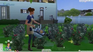 Sims 4 Gardening Guide: Evolving Your Plants