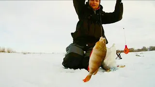 СЕКРЕТНАЯ МОРМЫШКА КОСИТ ОКУНЯ! Зимняя рыбалка. УДАЧНОЕ ОТКРЫТИЕ СЕЗОНА. Уже не первый лёд.