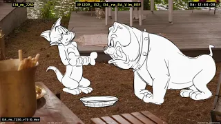 Tom and Jerry (2021) - Wedding Party - 2D Guide Animation Animatic