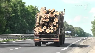 Чи допоможе електронний облік деревини ?   | Телеканал Новий Чернігів