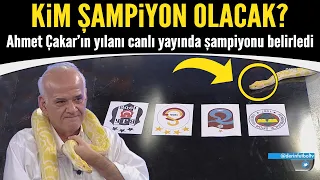 Ahmet Çakar’ın yılanı canlı yayında şampiyonu belirledi!